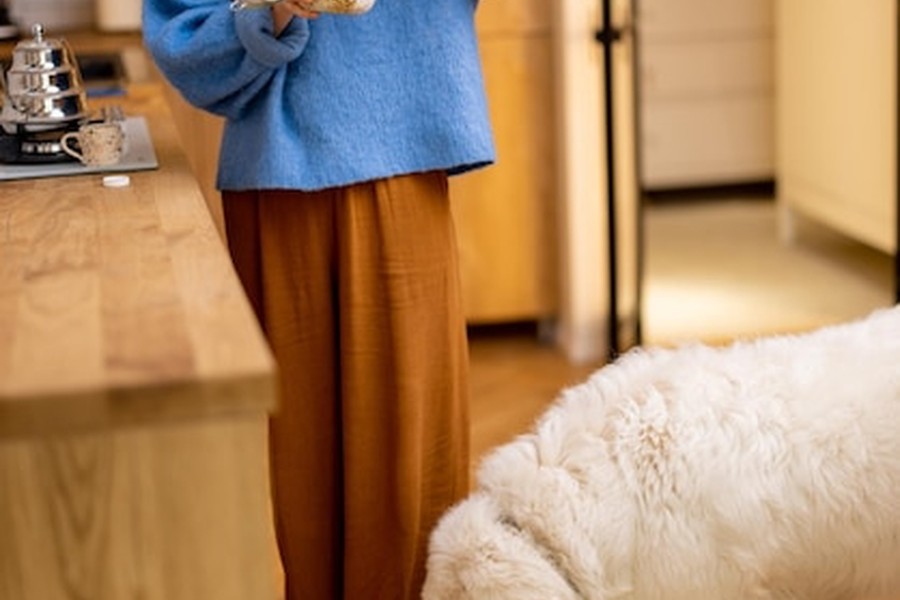 Une personne prépare un repas sur mesure dans sa cuisine pour adapter l'alimentation de son chien en fonction de son analyse génétique à domicile.